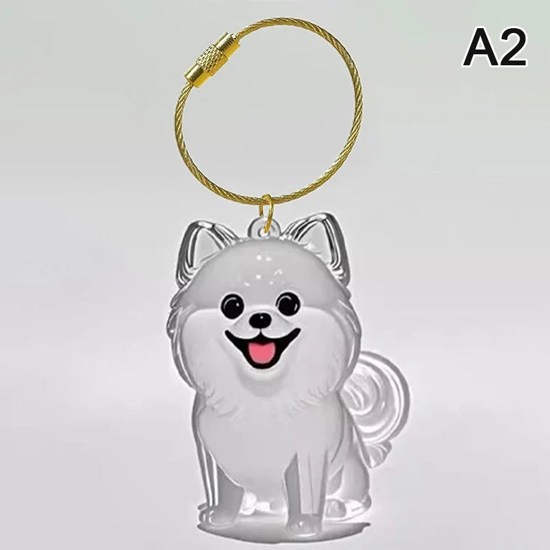Clear Pet Hair Memorial Keepsake Capsule | Dog Fur Container Keychain for Pet Lovers