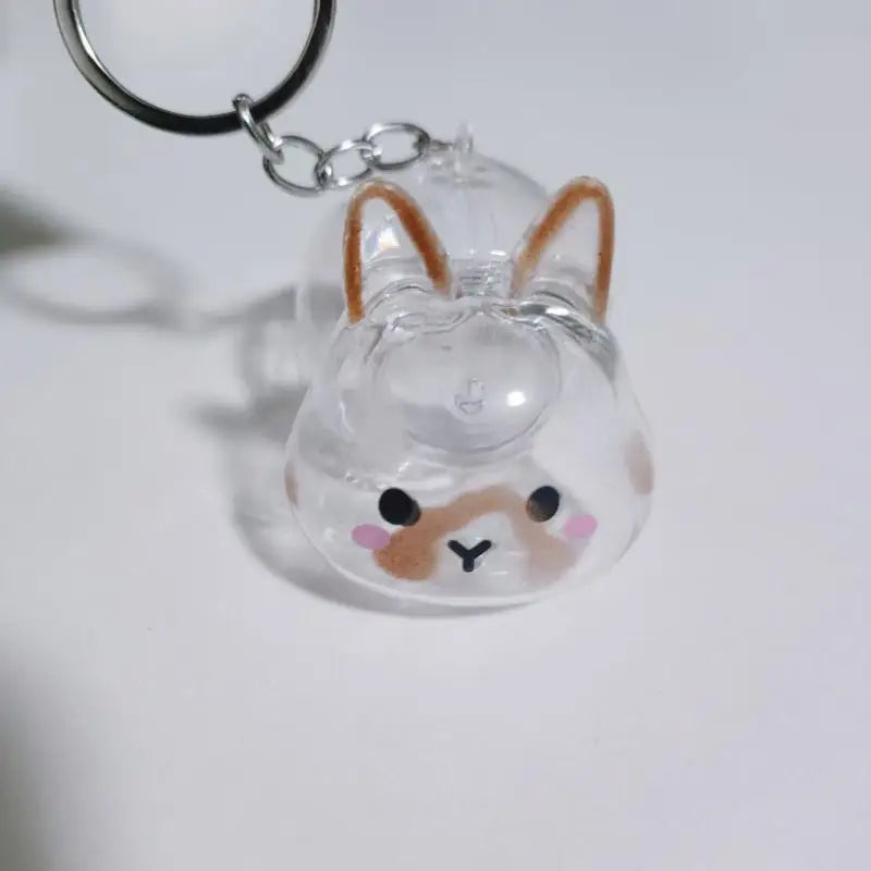 Pet Hair Memorial Transparent Storage Box Keychain | Cute Animal Rabbit Fur Organizer Bag Pendant