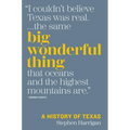 Big Wonderful Thing: A History of Texas - Hardcover