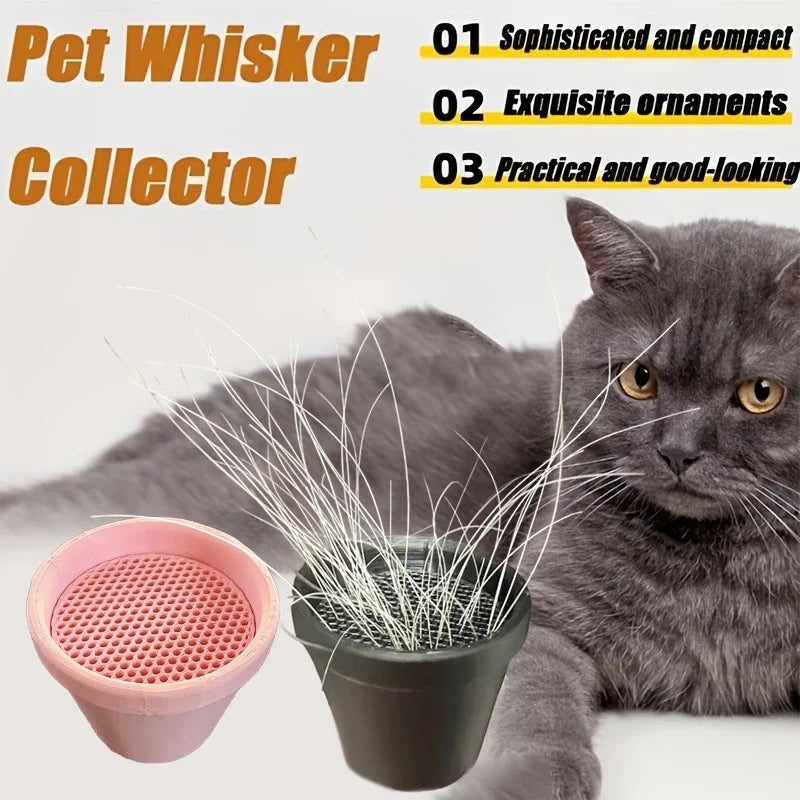 Cat Whisker and Fur Collector | Mini Flower Pot Desktop Keepsake
