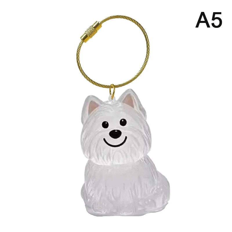 Pet Fur Keepsake Capsule Keychain | Clear Dog Hair Memorial Pendant for Pet Lovers