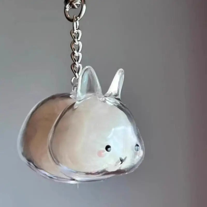 Cute Pet Hair Memorial Keychain | Transparent Storage Box Bag Pendant