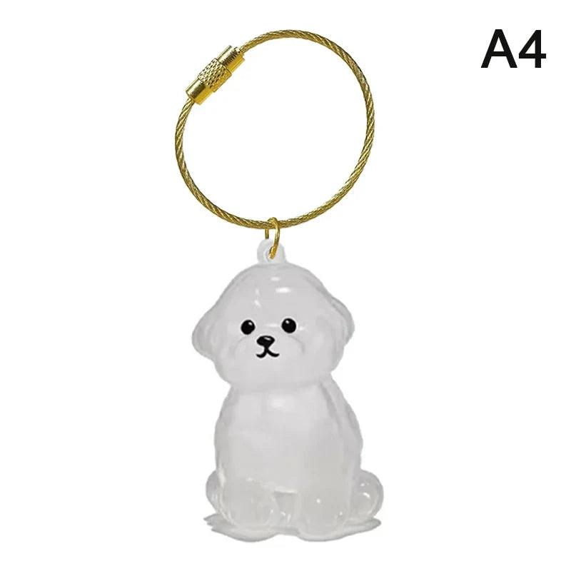 Clear Pet Hair Memorial Keepsake Capsule | Dog Fur Container Keychain for Pet Lovers