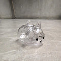 Pet Hair Memorial Transparent Storage Box Keyring | Cute Animal Rabbit Fur Organizer Keychain Bag Pendant