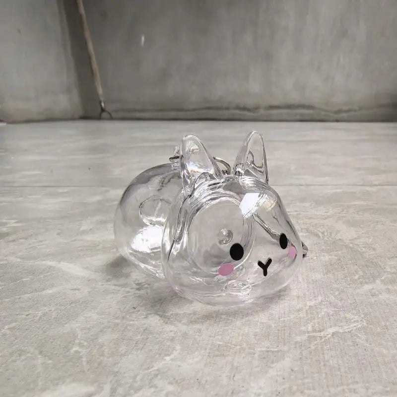 Transparent Rabbit Fur Storage Box Keychain | Pet Memorial Keepsake