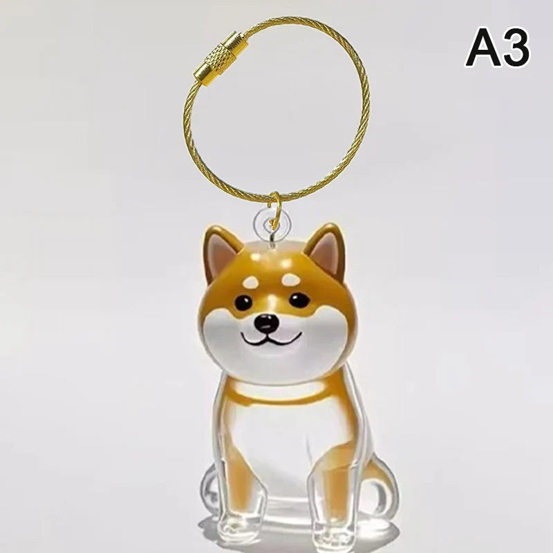 Clear Pet Hair Memorial Keepsake Capsule | Dog Fur Container Keychain for Pet Lovers
