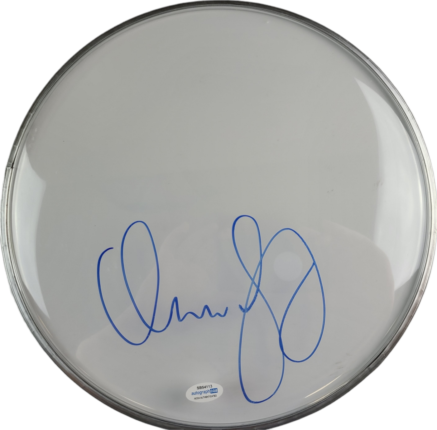 Styx Dennis DeYoung Signed Custom Framed Drum Head Drumhead Display ACOA