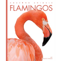 Flamingos - Library Binding
