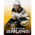 Boston Bruins - Library Binding