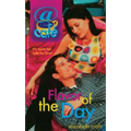 Flavor of the Day - Paperback