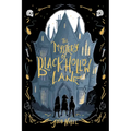 The Mystery of Black Hollow Lane - Paperback