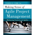 Making Sense of Agile Project Management - Paperback