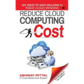 Reduce Cloud Computing Cost: 101 Ideas to Save Millions in Public Cloud Spending - Paperback