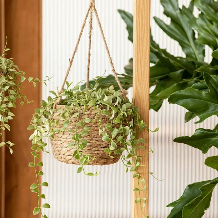 Hanging Seagrass Planter Basket