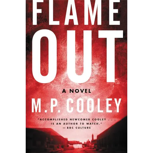 Flame Out - Paperback