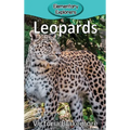Leopards - Hardcover