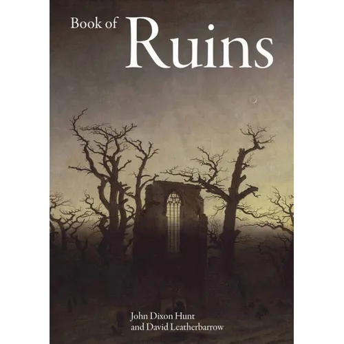 Book of Ruins - Hardcover