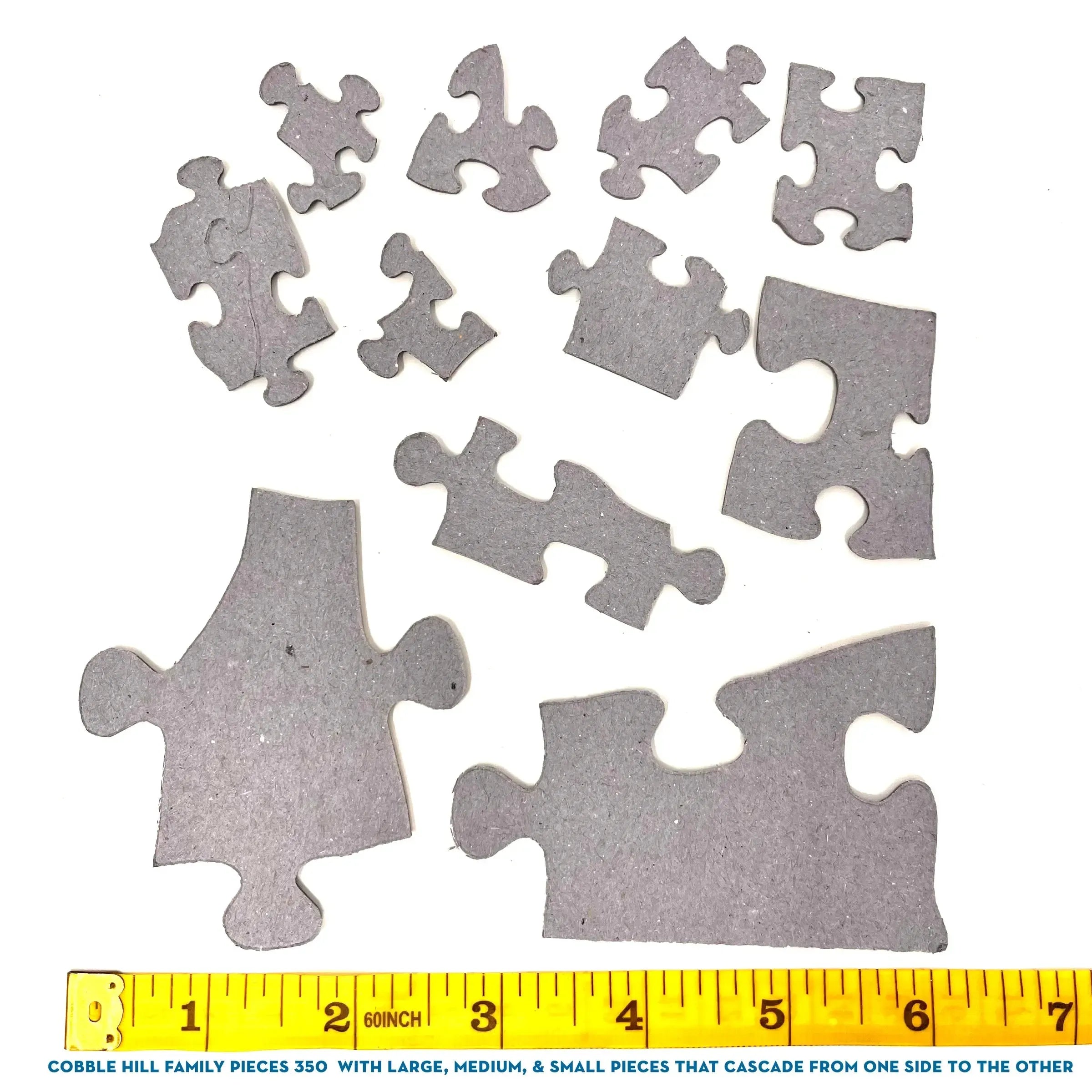 Santa's Flyby 350 Piece Family Jigsaw Puzzle Cobble Hill