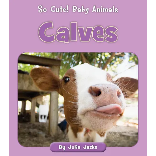 Calves - Paperback