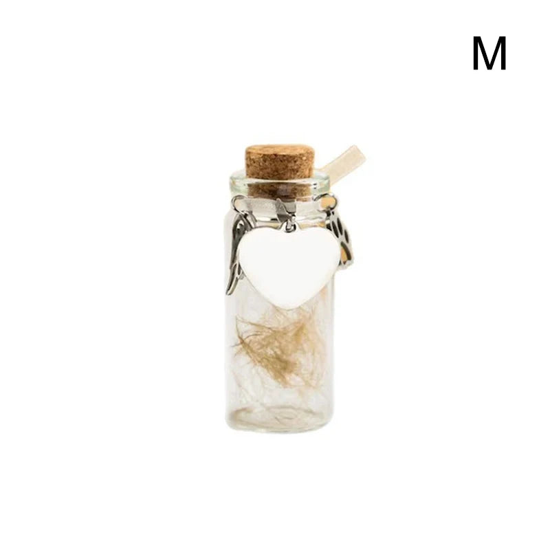 Pet Memorial Bottle Keepsake for Pet Hair Storage | Urn Container with Silver Accessories