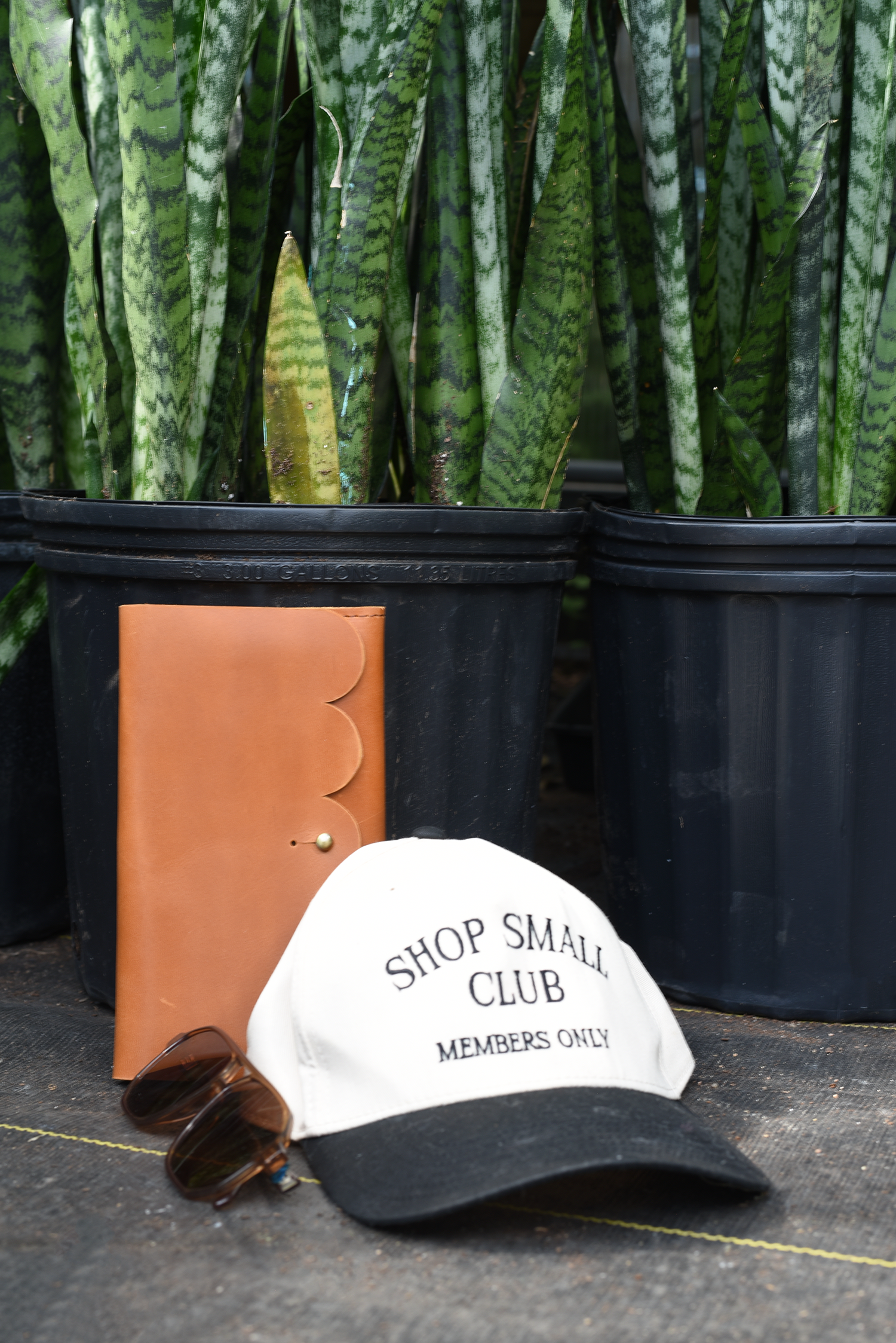 Scalloped Fold Over Leather Wallet