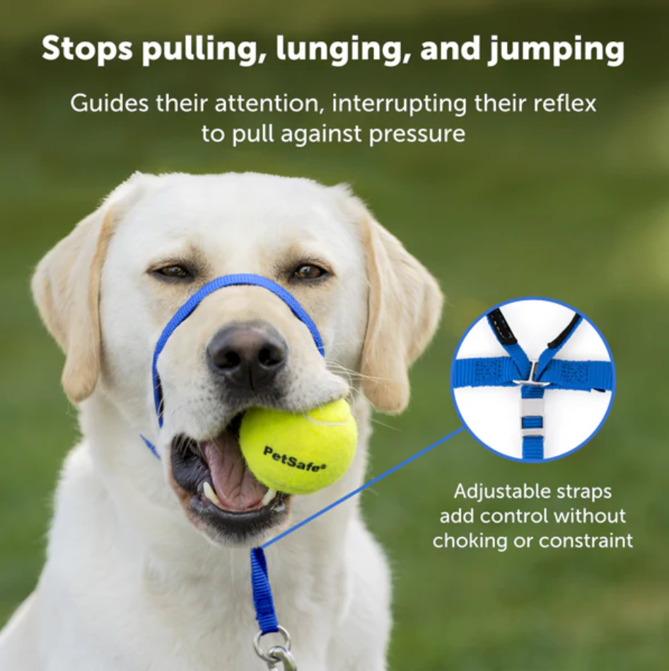 Petsafe Gentle Leader® Headcollar, No-Pull Dog Collar Black Large