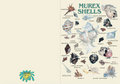 Murex Shells Poster & Greeting Card
