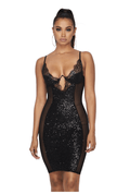 Sequin Lace Mesh Mini Dress