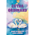 Extra Ordinary - Paperback