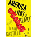 America Is Not the Heart - Paperback