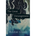 The Great Derangement: Climate Change and the Unthinkable - Paperback
