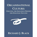 Organisational Culture: Creating the Influence Needed for Strategic Success - Paperback