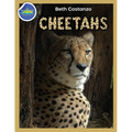 Cheetah Activity Workbook ages 4-8 - Paperback