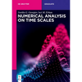 Numerical Analysis on Time Scales - Paperback