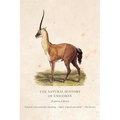 The Natural History of Unicorns - Paperback