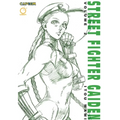 Street Fighter Gaiden, Volume 2 - Paperback