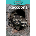 Raccoons - Paperback