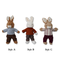 Plush Bunny Toy in Outfit