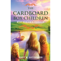 The Cardboard Box Children: Meet Benjamin Franklin - Paperback