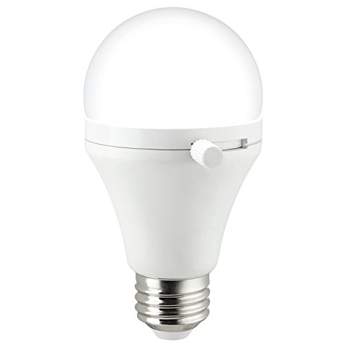 Sunlite ShabBulb 3000K