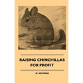 Raising Chinchillas for Profit - Paperback