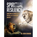 Spiritual Resiliency: Harnessing the Power of the Spiritual Life to Overcome Adversity - Paperback