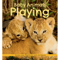Baby Animals Playing - Paperback