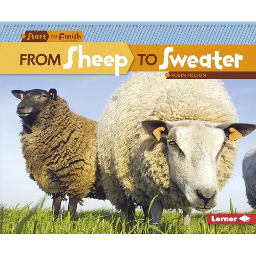 From Sheep to Sweater - Paperback