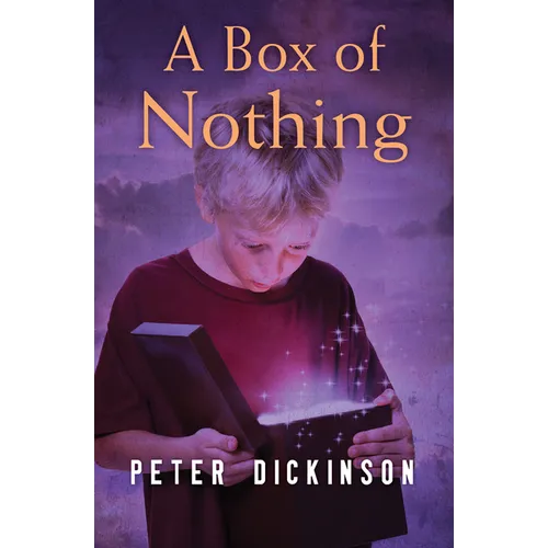 A Box of Nothing - Paperback