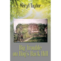 Big Trouble on Hog's Back Hill - Paperback