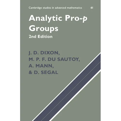 Analytic Pro-P Groups - Paperback