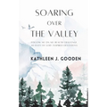 Soaring Over the Valley: Follow me on my health challenge with 40 days of God-inspired Devotions - Paperback
