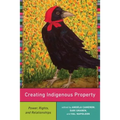 Creating Indigenous Property: Power, Rights, and Relationships - Hardcover