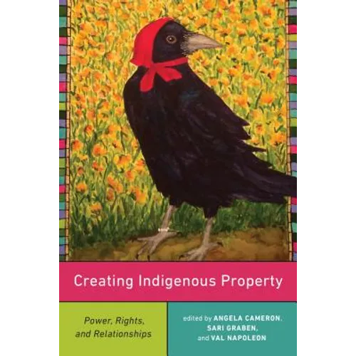Creating Indigenous Property: Power, Rights, and Relationships - Hardcover